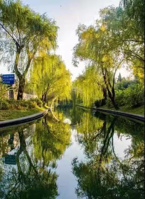 園林要怎么樣設(shè)計才好看？告訴大家這個小技巧